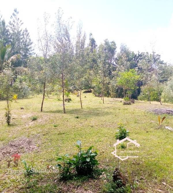 Immobilier Mada