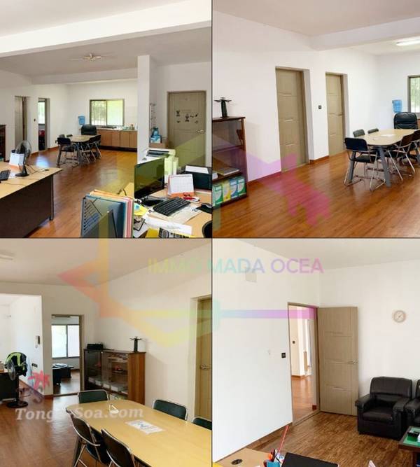 photo 1 de l annonce