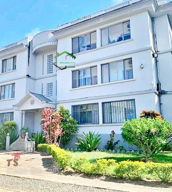 photo 2 de l annonce