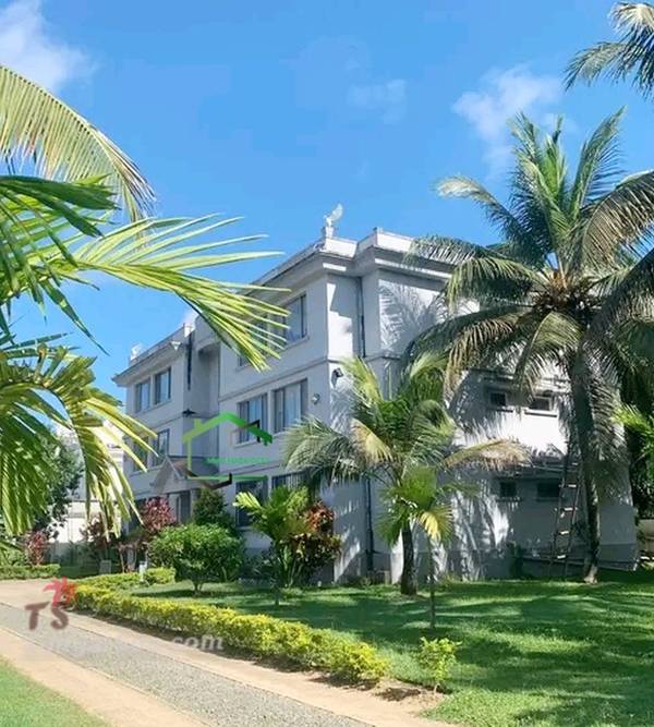 photo 3 de l annonce