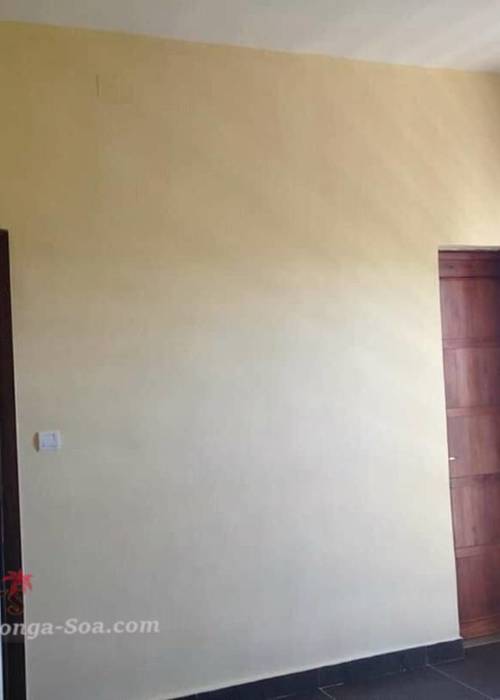 photo 2 de l annonce