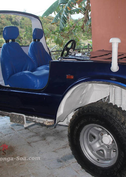 photo 1 de l annonce