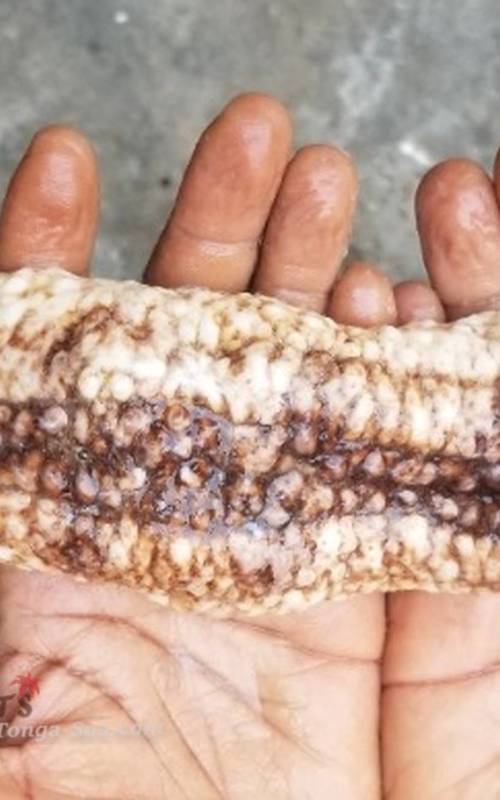 photo 1 de l annonce