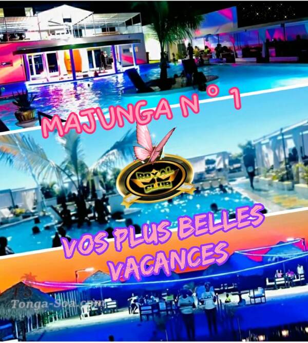 photo 1 de l annonce