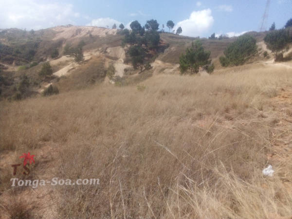 photo 1 de l annonce