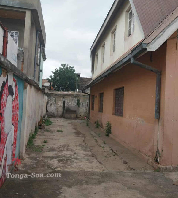 photo 3 de l annonce