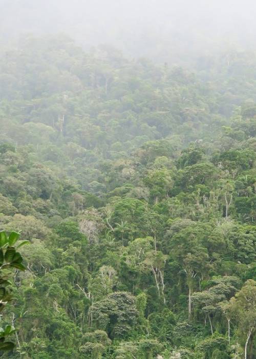 photo 2 de l annonce