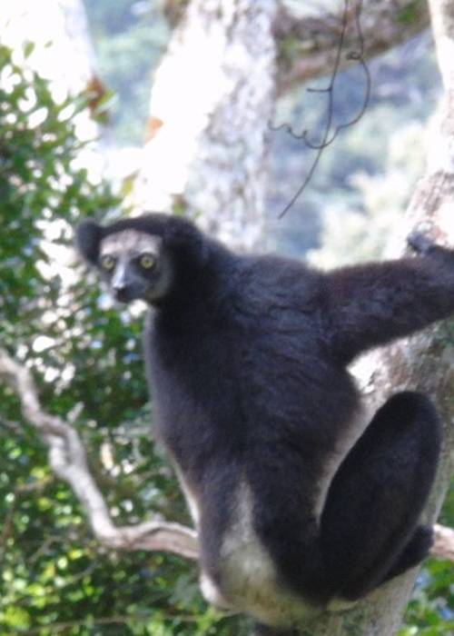 photo 3 de l annonce