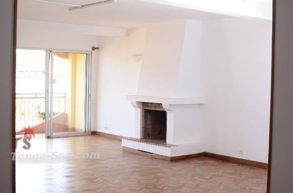 photo 1 de l annonce