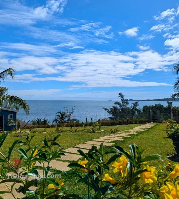 photo 3 de l annonce