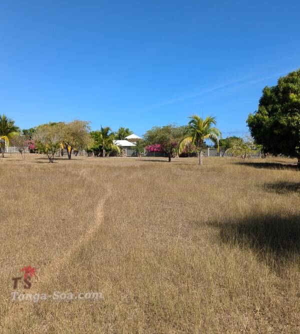 photo 1 de l annonce