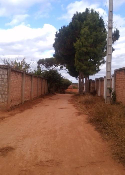 photo 2 de l annonce