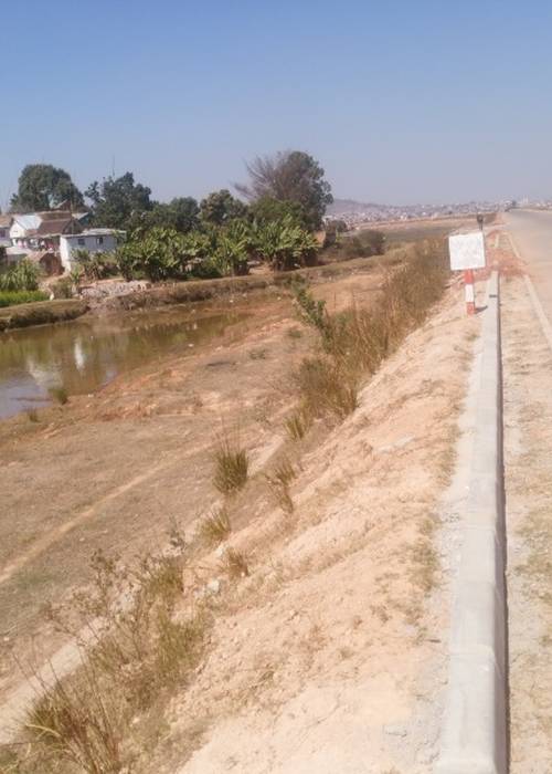 photo 2 de l annonce