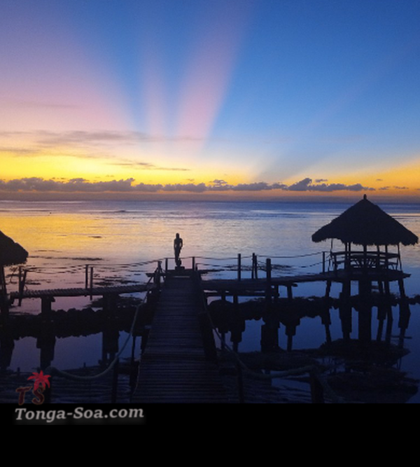 photo 2 de l annonce