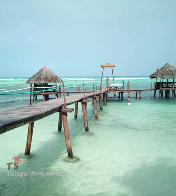 photo 3 de l annonce