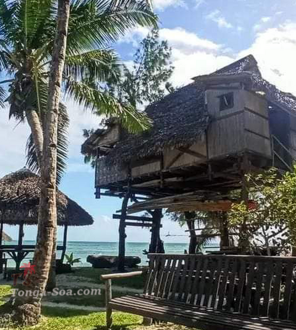 photo 5 de l annonce