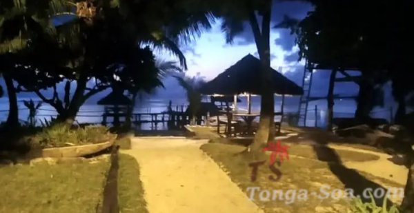 photo 1 de l annonce