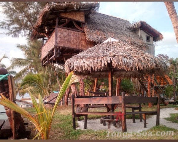 photo 2 de l annonce