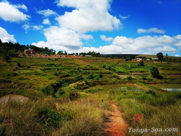 🌿 À vendre – grand terrain À vohikanto (ankazobe) 🌿