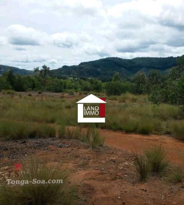 photo 1 de l annonce