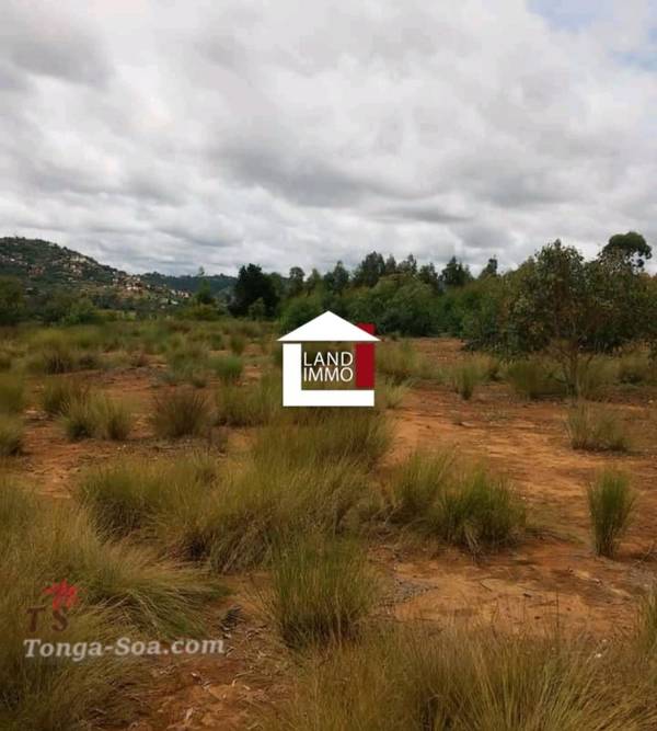 photo 3 de l annonce