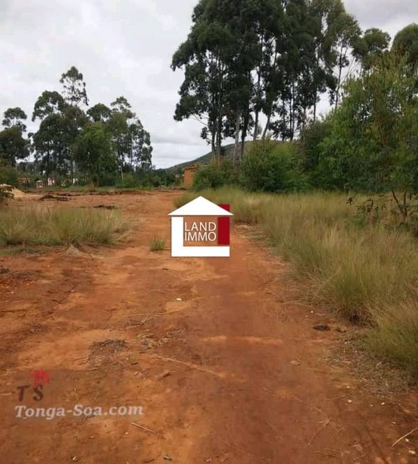 photo 4 de l annonce