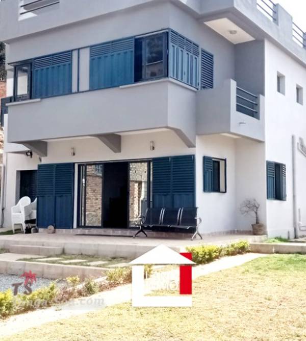 photo 1 de l annonce