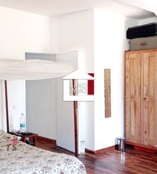 photo 2 de l annonce