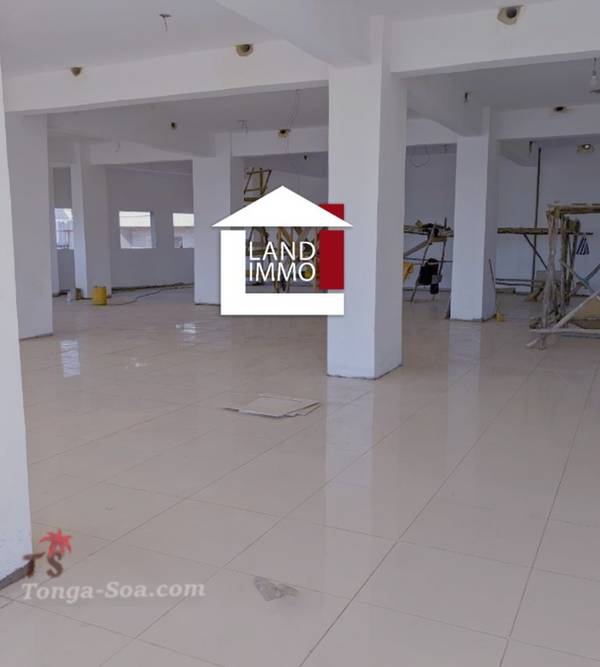 photo 1 de l annonce