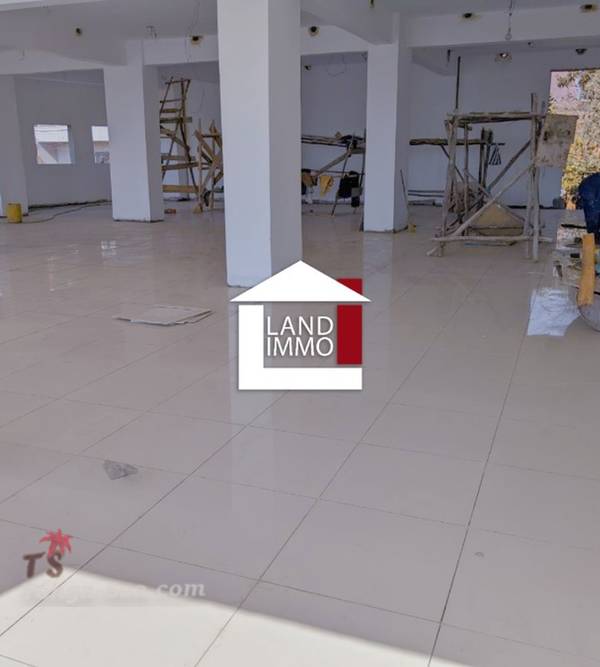 photo 2 de l annonce