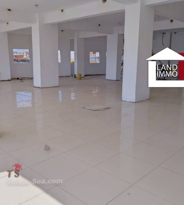 photo 3 de l annonce