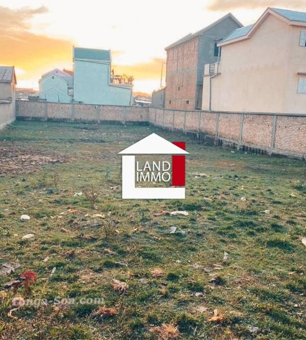 photo 1 de l annonce