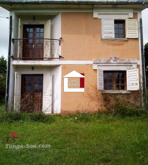 photo 1 de l annonce