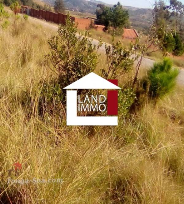 photo 3 de l annonce