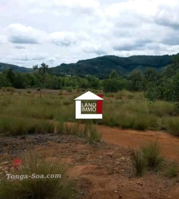 Immobilier Mada