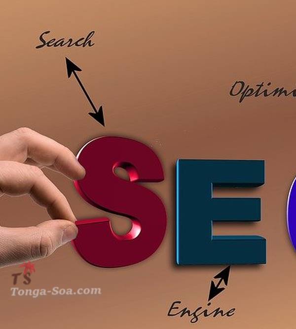 photo 1 de l annonce