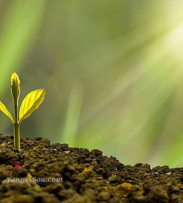 photo 1 de l annonce