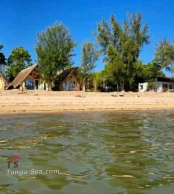 photo 2 de l annonce