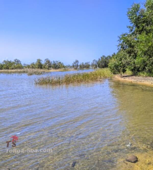 photo 2 de l annonce