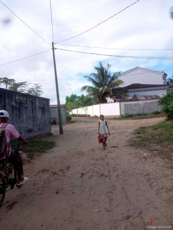 photo 1 de l annonce