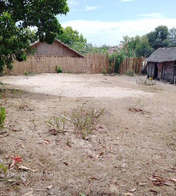 photo 3 de l annonce