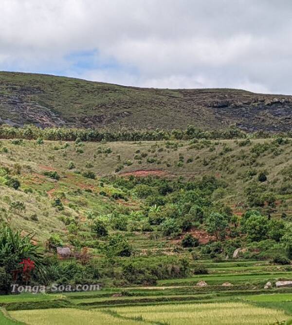 photo 1 de l annonce