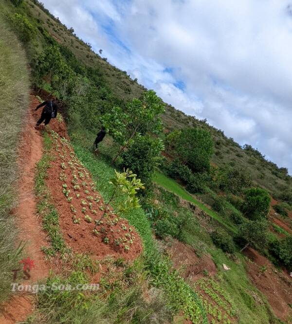 photo 2 de l annonce