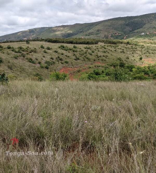 photo 4 de l annonce