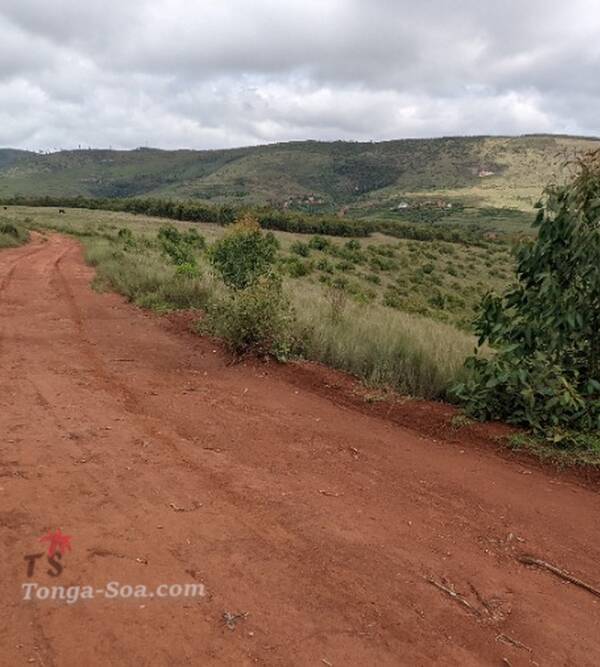 photo 5 de l annonce