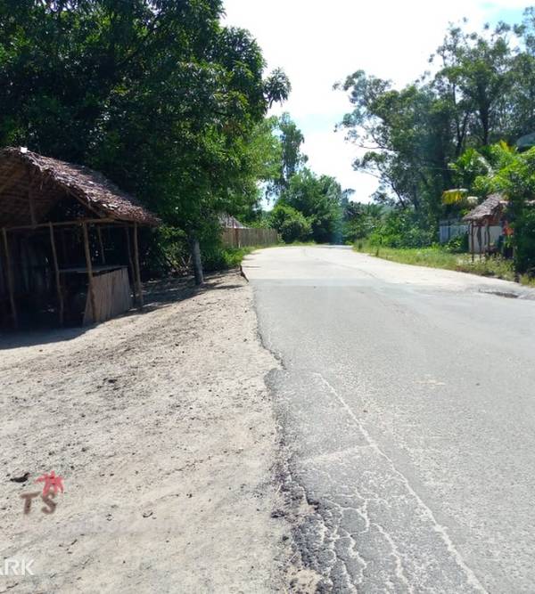 photo 1 de l annonce