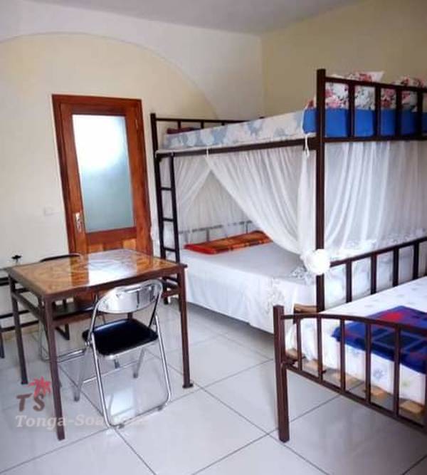 photo 1 de l annonce