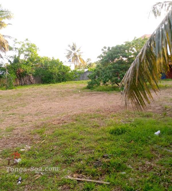 photo 3 de l annonce