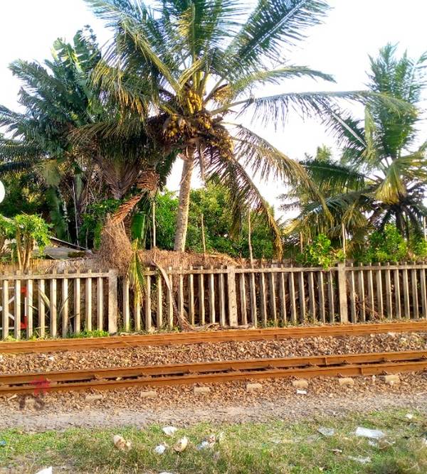 photo 4 de l annonce