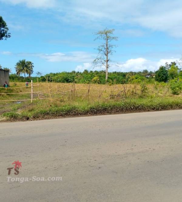 Immobilier Mada